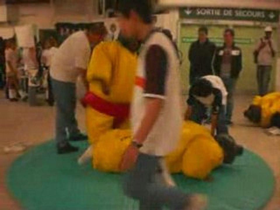Combat sumo_0001