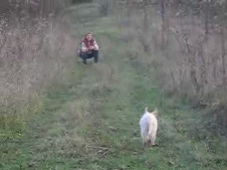Daïka au rappel (1)