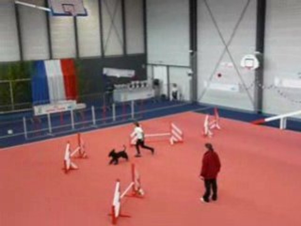 St Loup Lamairé Manche1 Agathe&Toufou