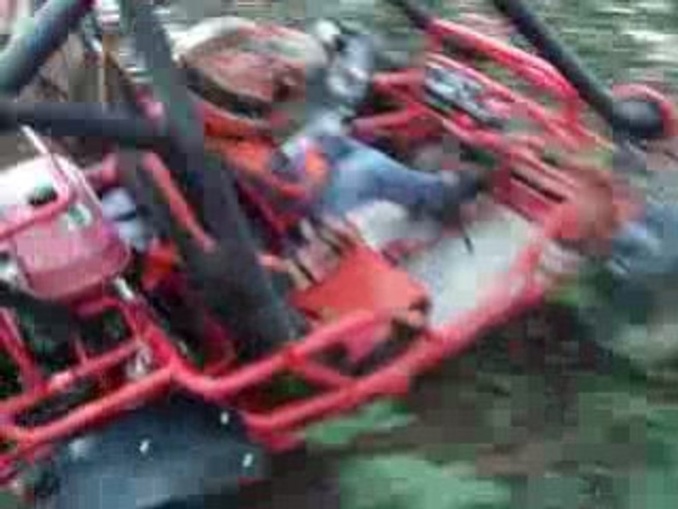Bugg 2