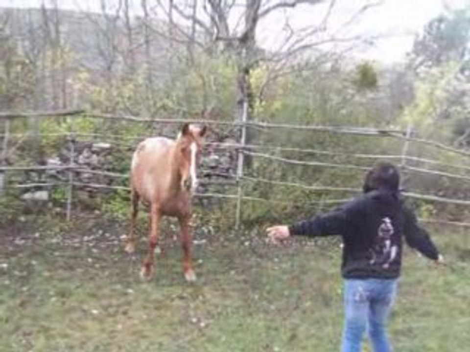 Ondée de combetuite