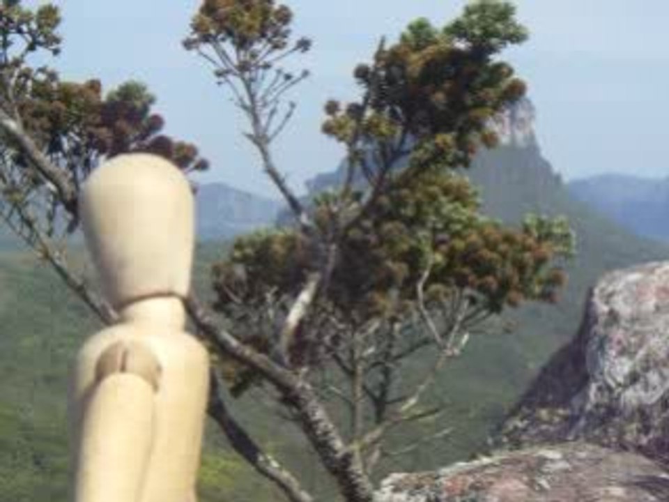 08 Lencois - Bobby across the world dans le Parc Naturel