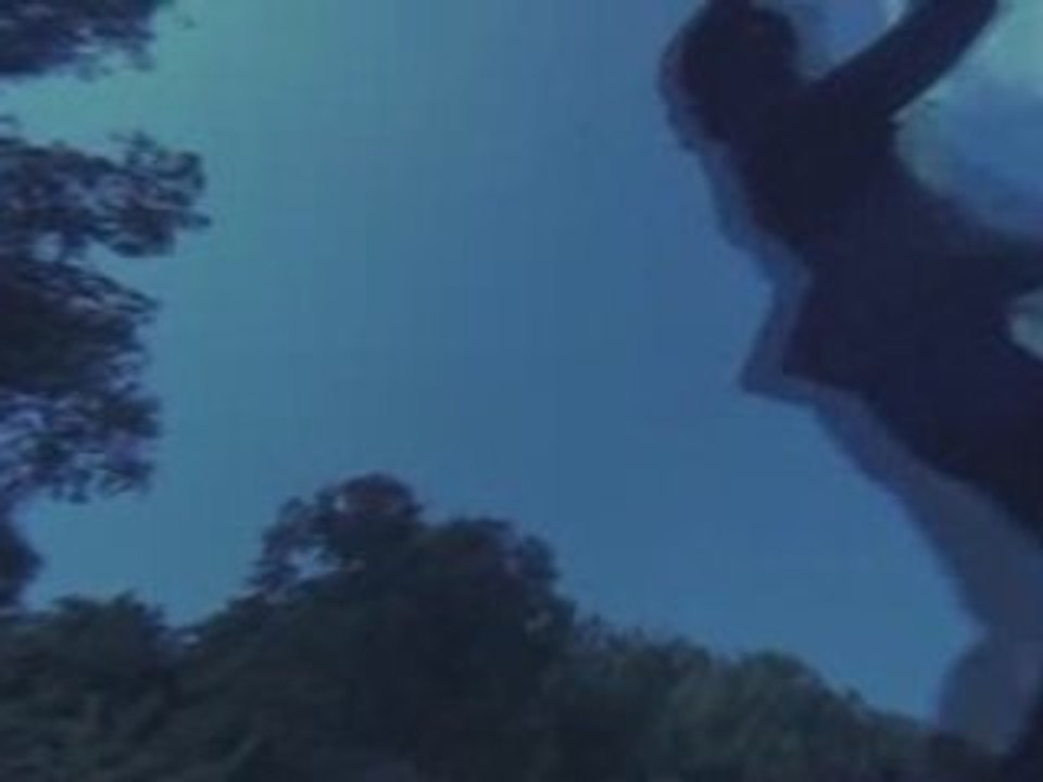 Extrait Nagin (1976)