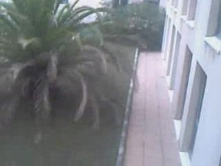 SH Hors Serie: The Motel