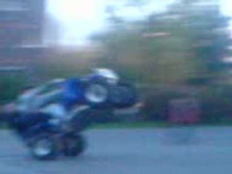 MAMOUCHE DES COURT - YZF 450 COURTILLIERES 93500