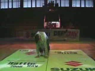 V-Xtreme Practise 15