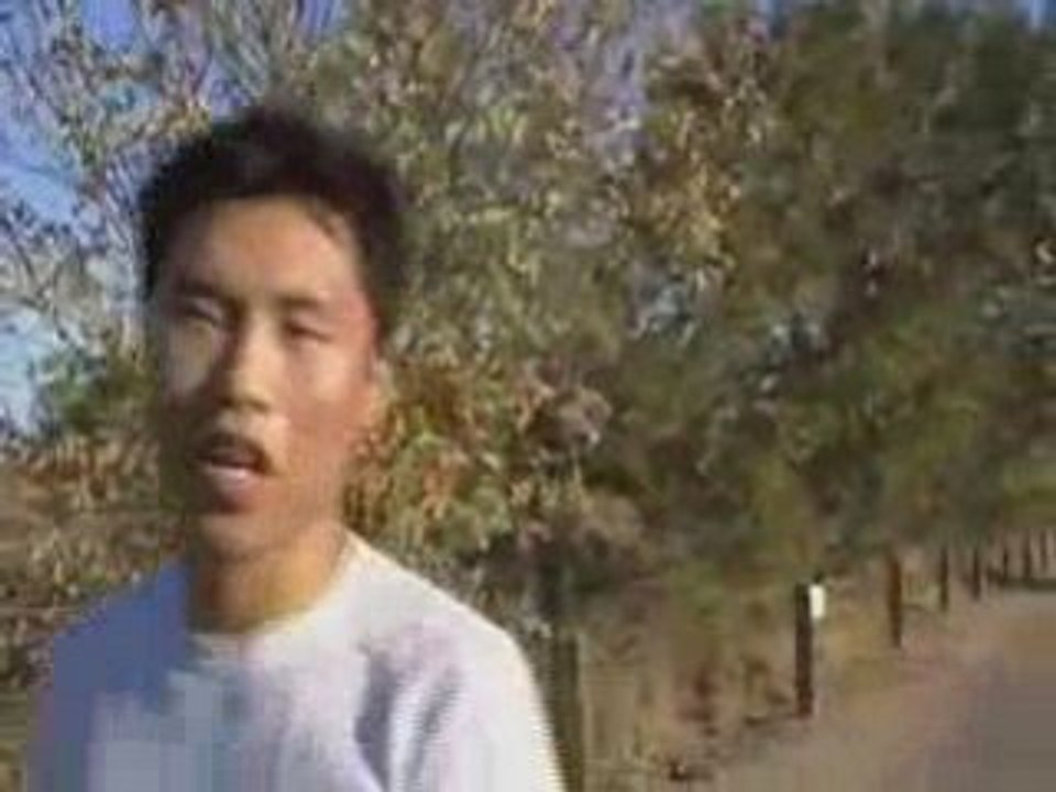 MLM Autoresponders How to AutoMate Your MLM Business