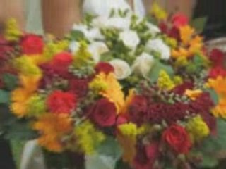 Alyson & Adam Same Day Edit- Nov. 1, 2008