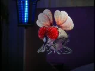 Coca Cola Rivalidades