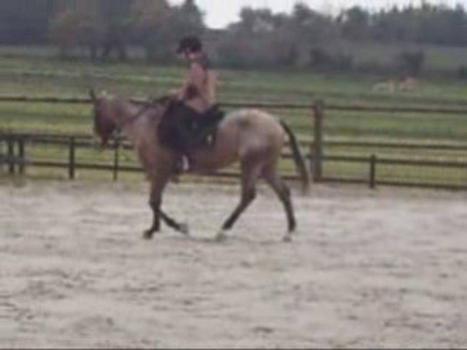 Indienne Galop Monte