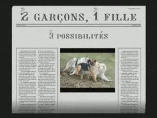 2 garçons - 1 fille - 3 possibilités