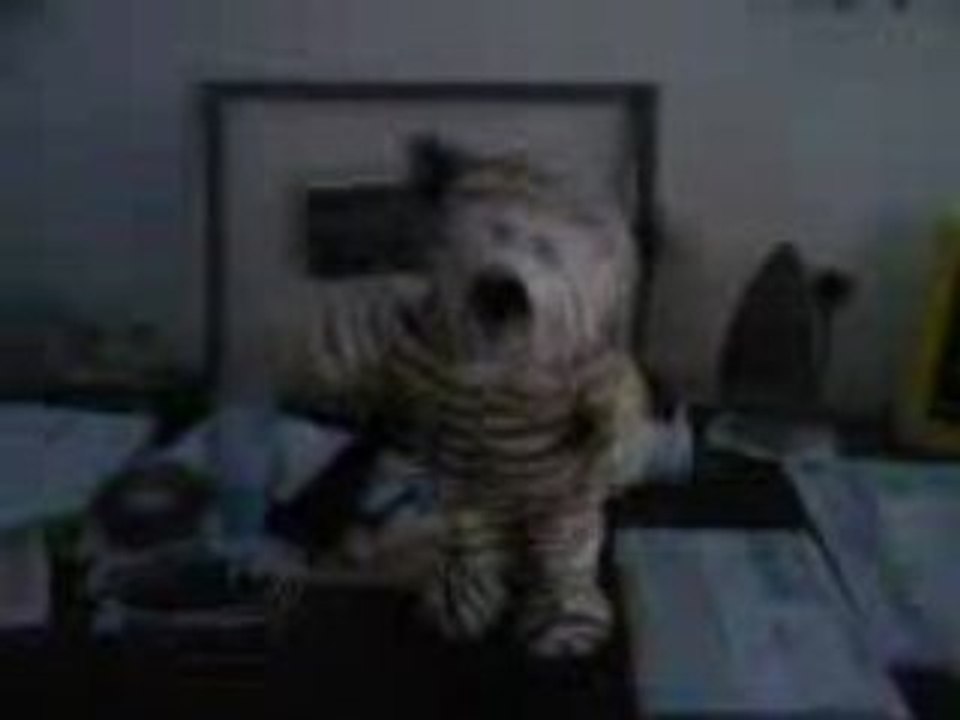 la peluche chanteuse et danseuse de Mélu