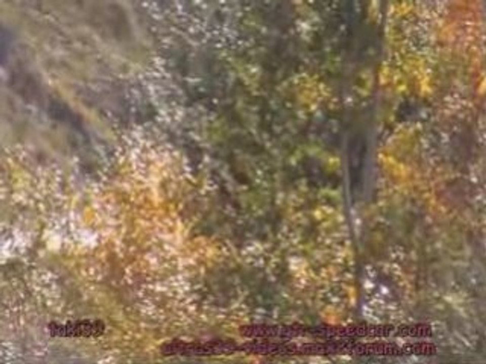 Rallye du Valais 2008