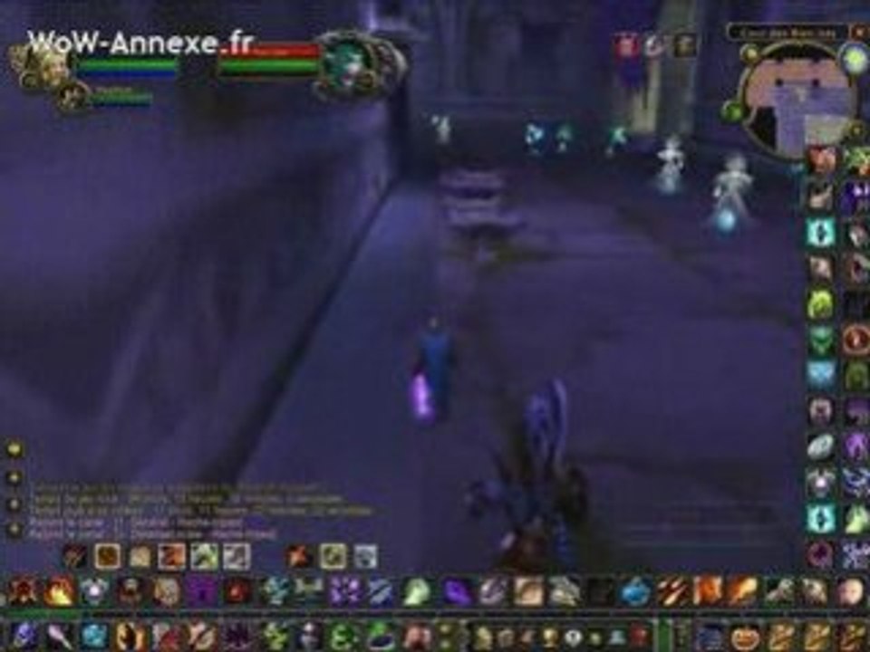 WoW : L'instance Hache Tripes de world of Warcraft