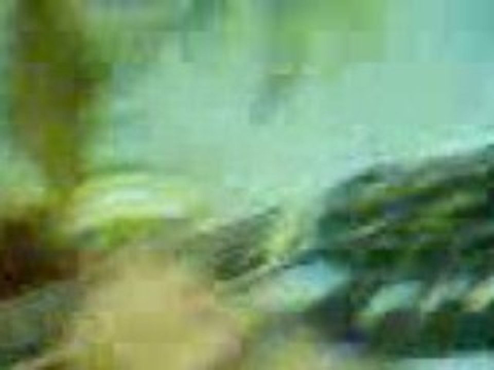 TokioHotel-Amnéville-In Die Nacht