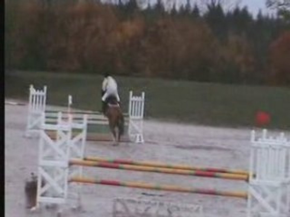 Lamotte en novembre with nounouche