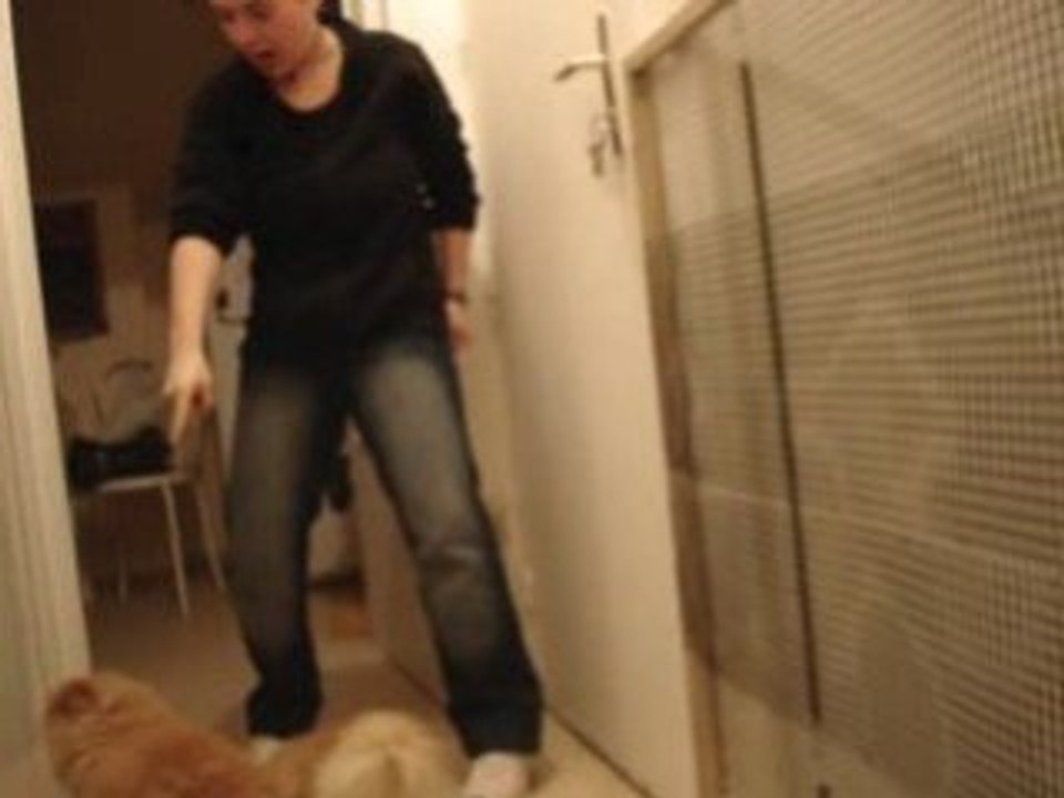 Test De La Porte Anti-Chat