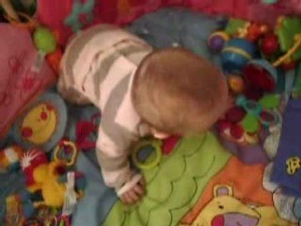 les debuts a 4 pattes de ma chipoune!