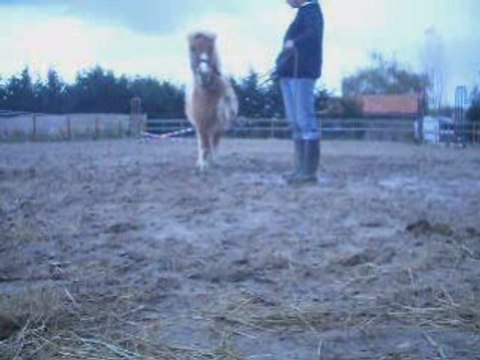 Ponette 1ere seance Octobre 2008