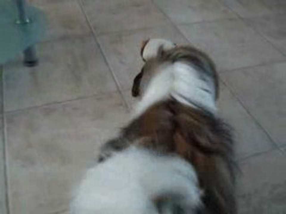 Vidéo 066