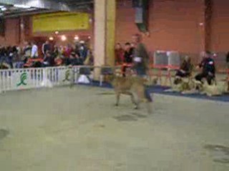 Nantes 26.10.2008 COF