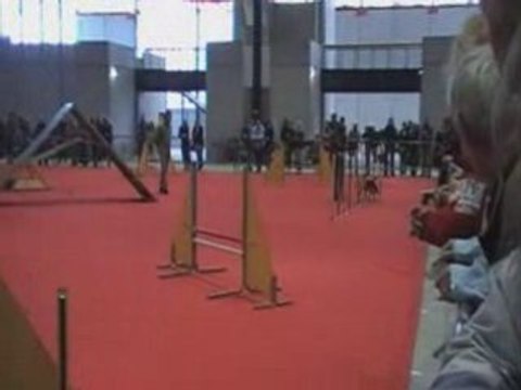 Agility 1er Degré Heidi