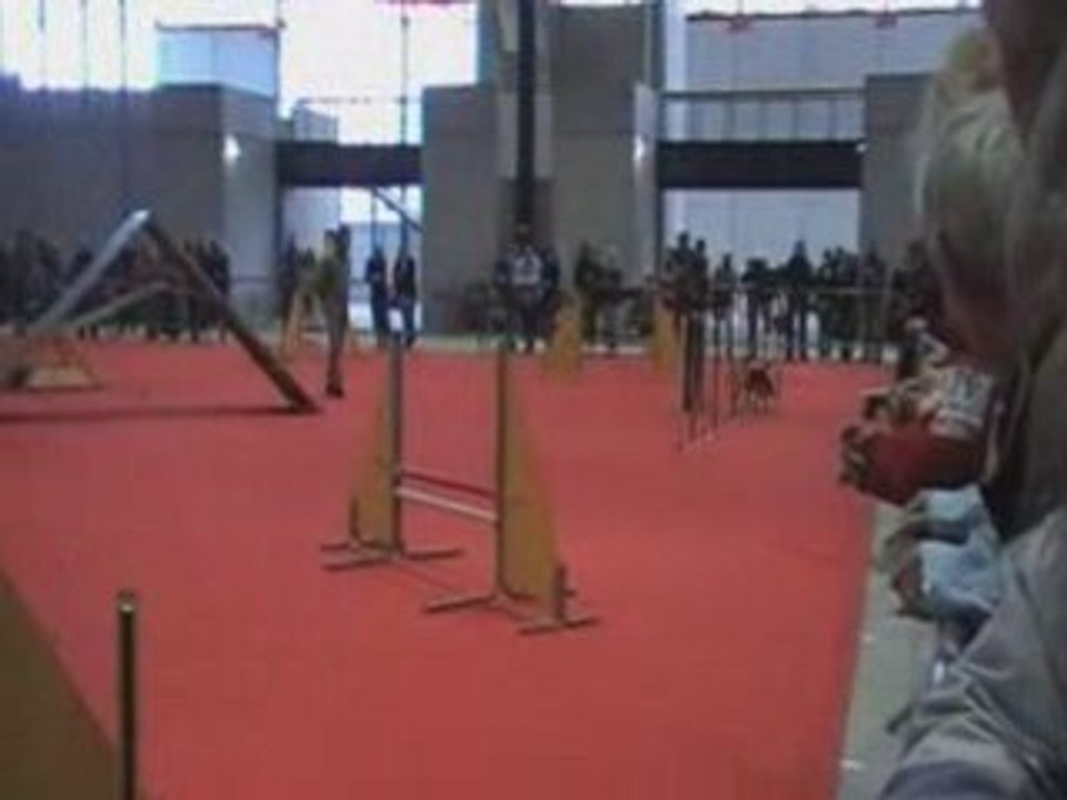 Agility 1er Degré Heidi