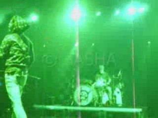 01.11.08 : Début Lass mich los Killerpilze @ Milan