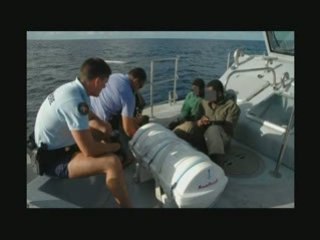 Contrôle  d'immigration: Mayotte 2006