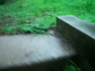 sous la pluie