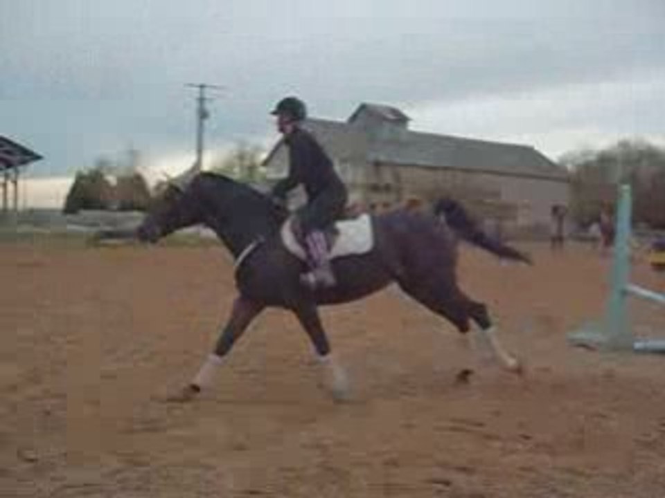 SCEANCE D OBSTACLE