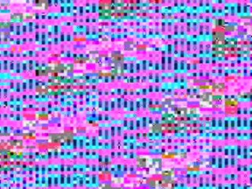 Immersion dans le camp democrate