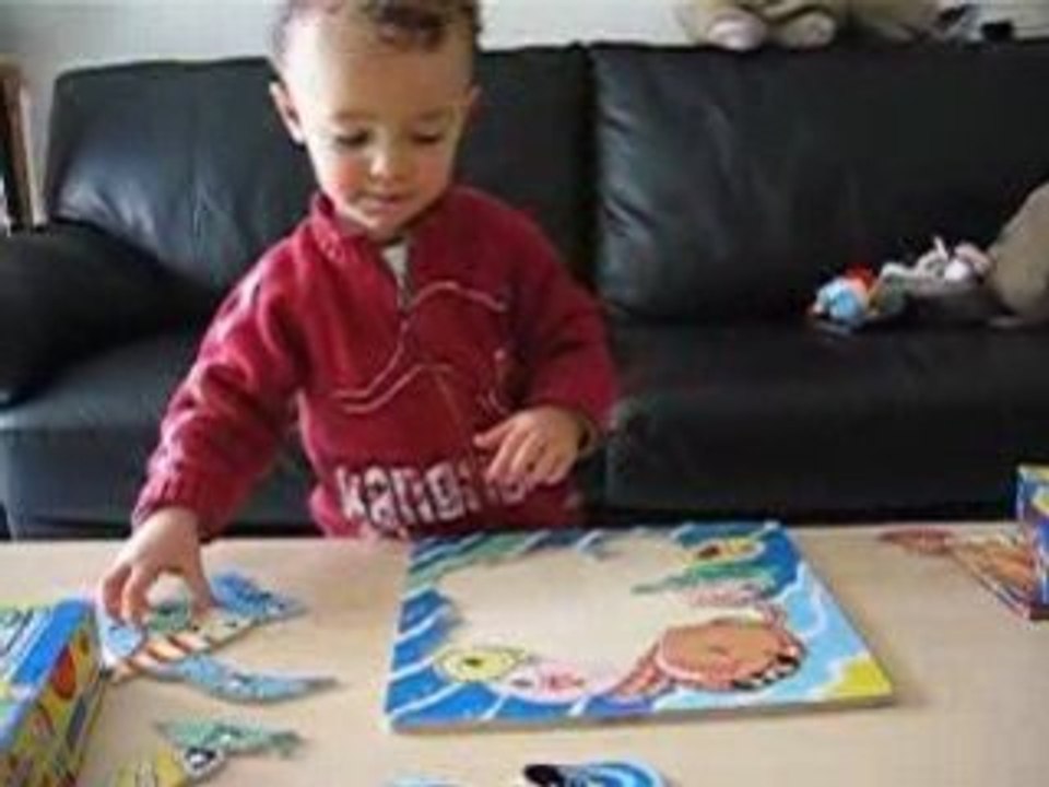 0014 puzzle poissons