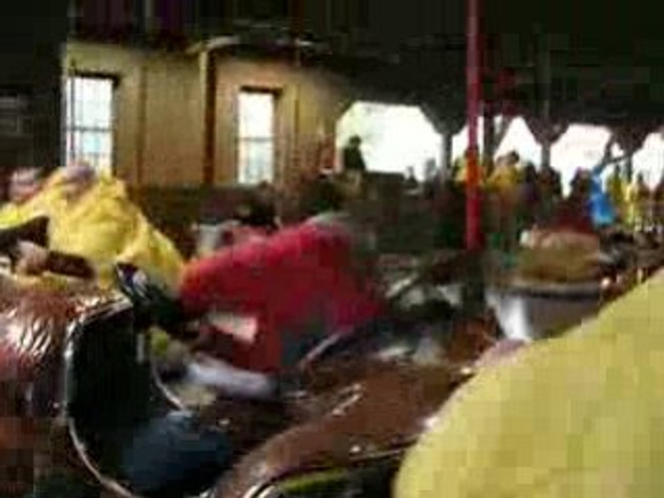 Port aventura(auto-tamponneuse 3)