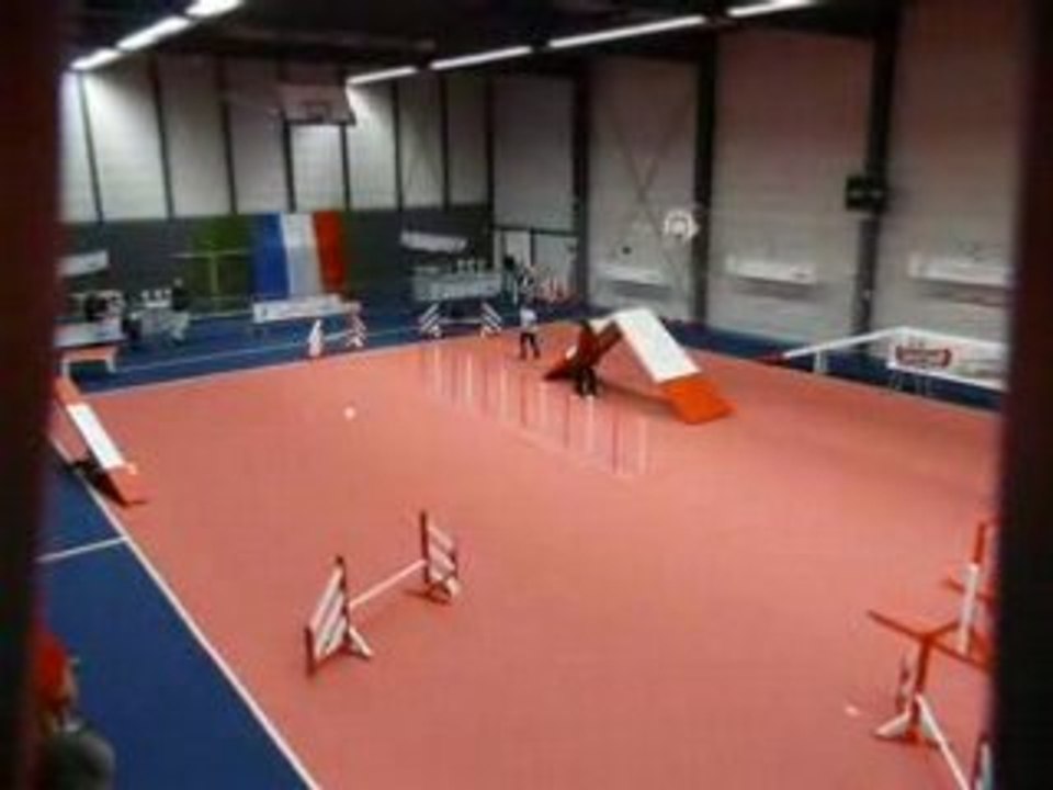 St loup lamairé Manche/équipe Agathe&Toufou