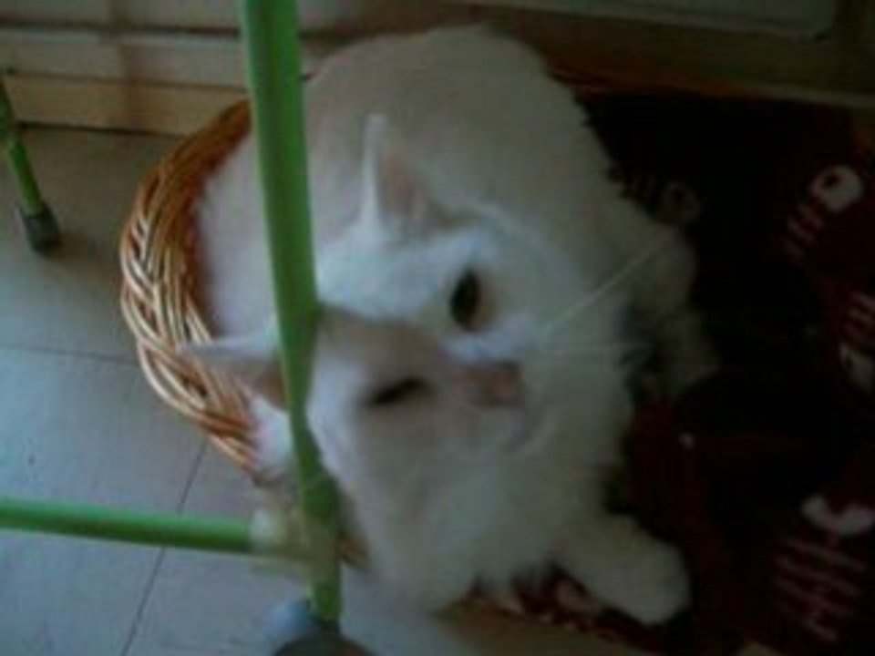 Plume, 4 novembre 2008