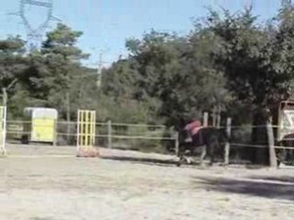 MOV09046