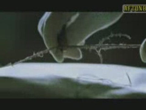 Teaser de The girl with the Dragon tattoo