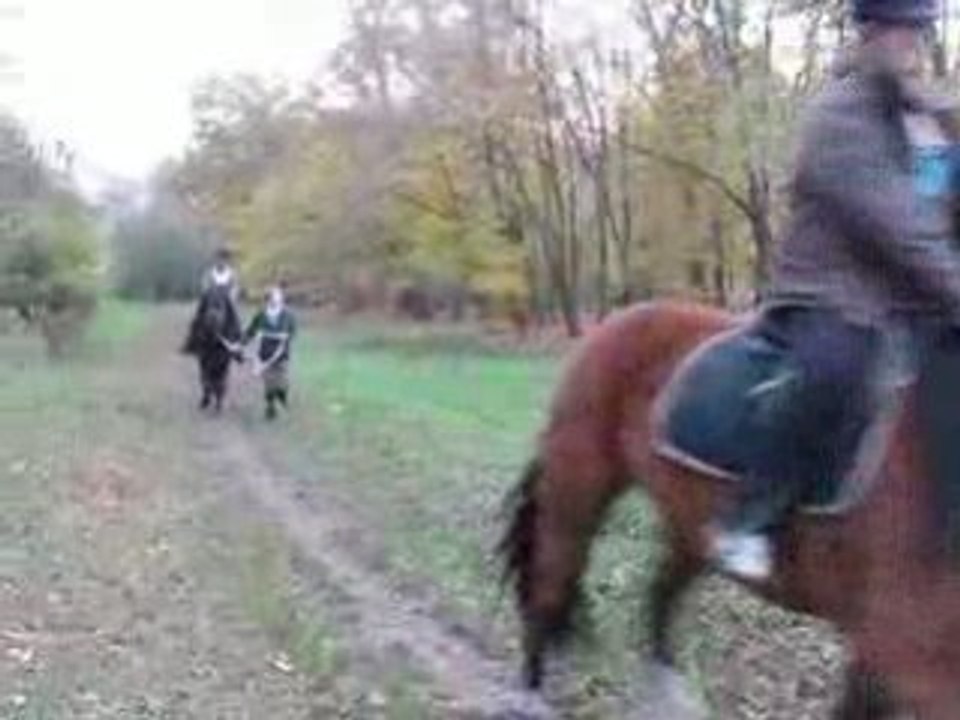 ballade nemesis et sifflet 4 Novembre 2008