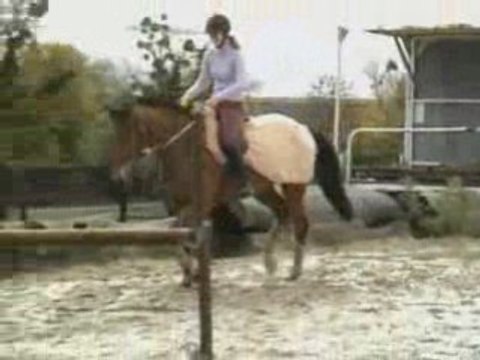 kelly au travail en licol parelli