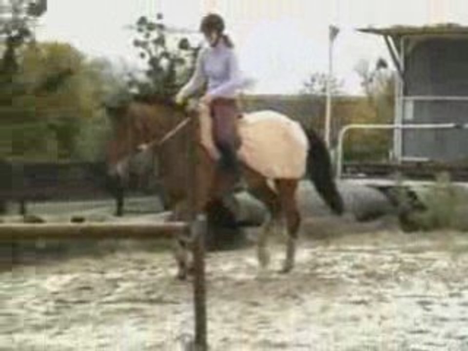 kelly au travail en licol parelli