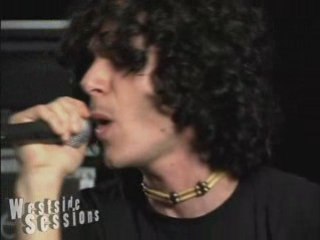 Willow Tree by That Noise