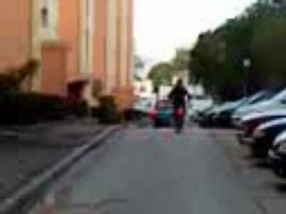sauvagere