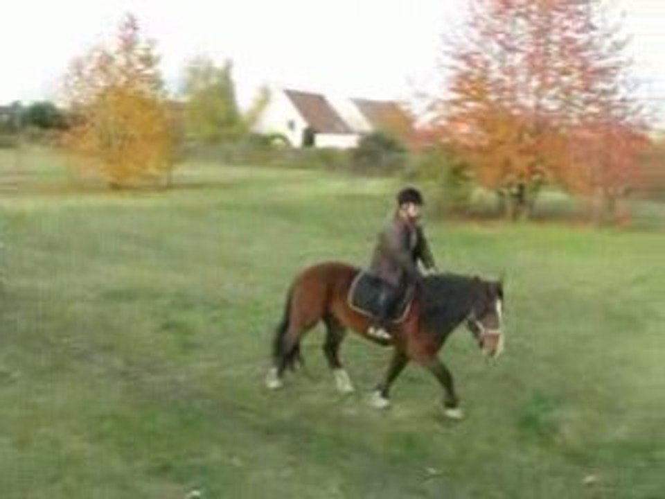 Novembre 2008 077