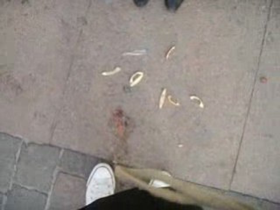 monsieur tete de pomme ADIEUX T_T