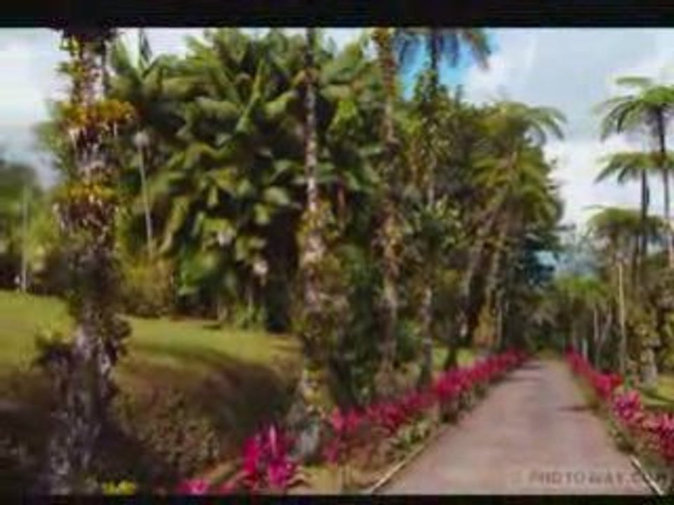 Nature