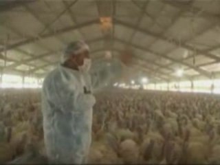 Çiftliğin İdeal Yurttaşları