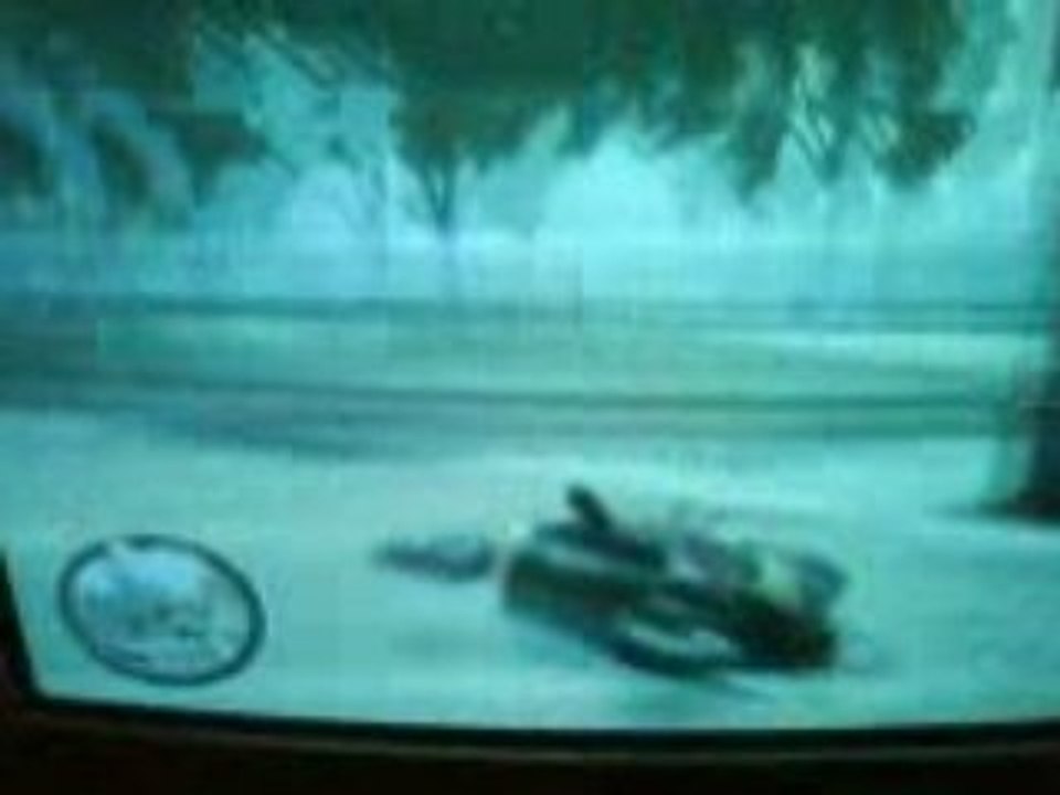 GTA4 glitches par scooter sur la terre