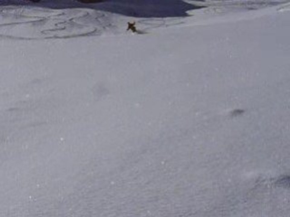 AlpControl ski en poudreuse avec des chaussures de marche