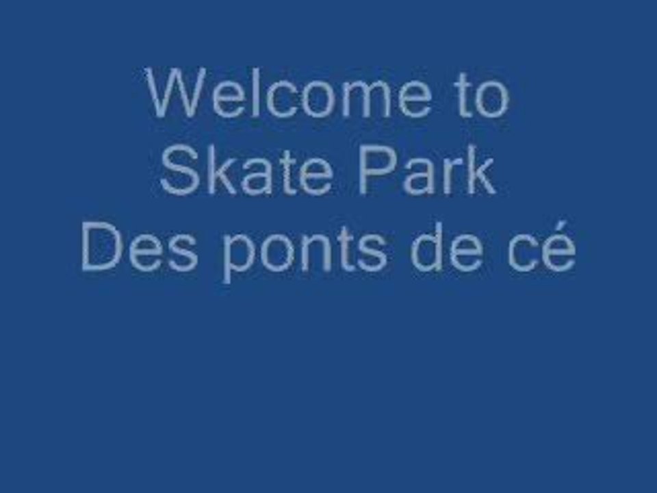 Skate park ponts de cé